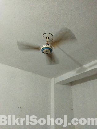 Fan